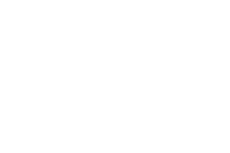 Fondazione per le Arti Contemporanee | Numm