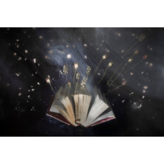 Se le parole fiorissero - 1/1