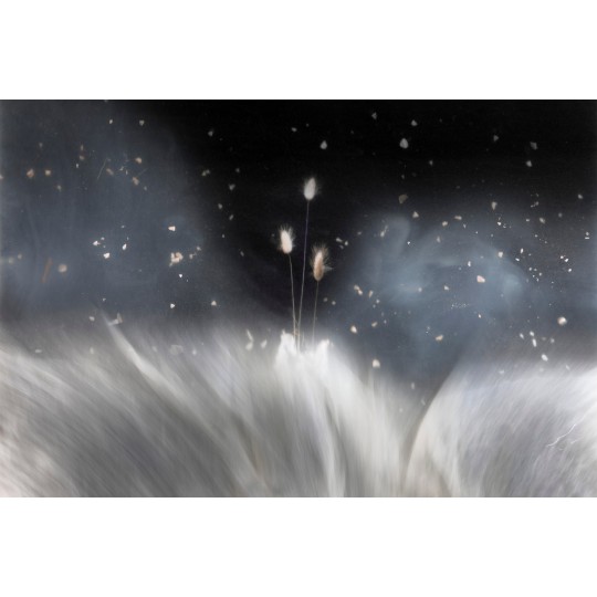 In tre nell'universo - 1/1