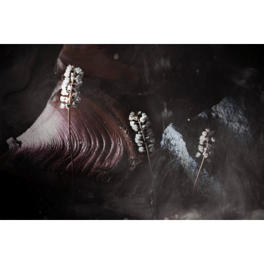 Interstellar #2 - 1/1