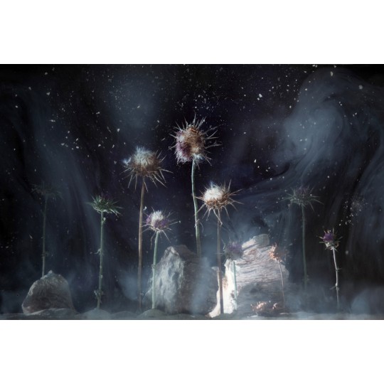 Una terra, anche se ostile, ti accoglie - 1/1