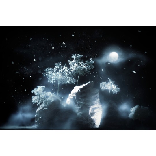 Ho sognato il chiaro di luna - 1/1