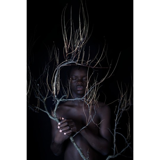 Ad occhi chiusi albero