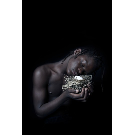 Ad occhi chiusi nido - 1/1