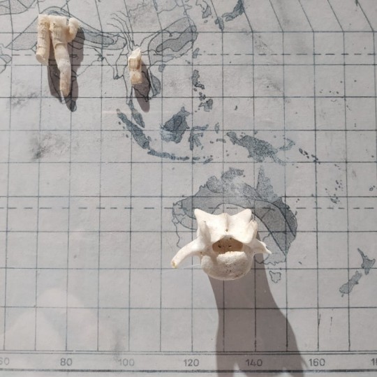 Precipitazioni di gennaio - 2/3