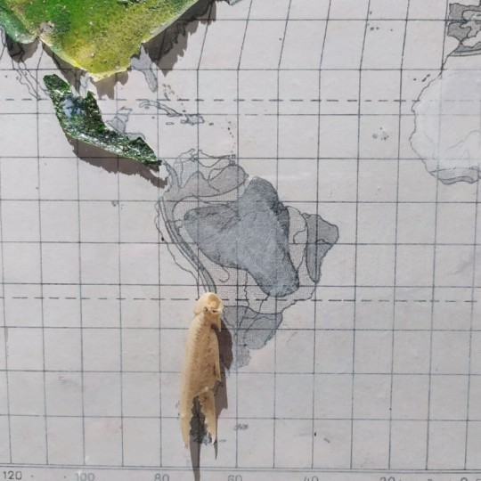 Precipitazioni di gennaio - 3/3