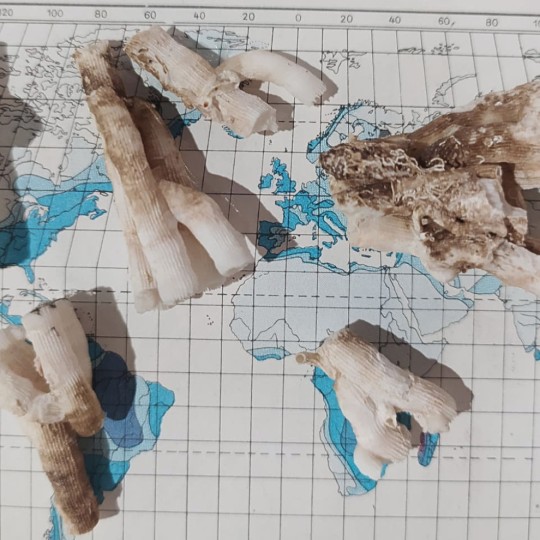 Precipitazioni di luglio - 2/3