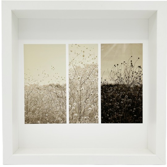 Mneme le Memorie di un Istante - 1/1