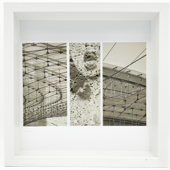 Mneme le Memorie di un Istante - 1/1