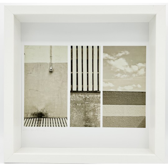 Mneme le Memorie di un Istante - 1/1