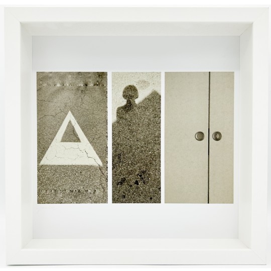 Mneme le Memorie di un Istante - 1/1