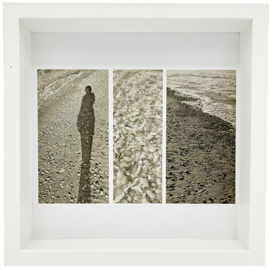 Mneme le Memorie di un Istante - 1/1