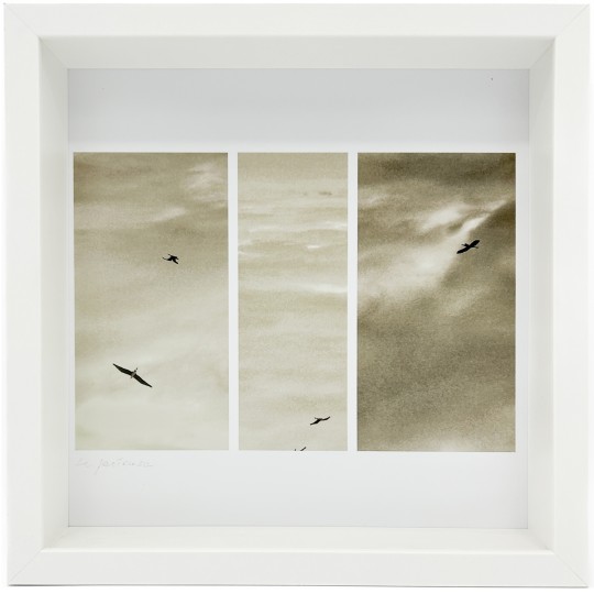 Mneme le Memorie di un Istante - 1/1