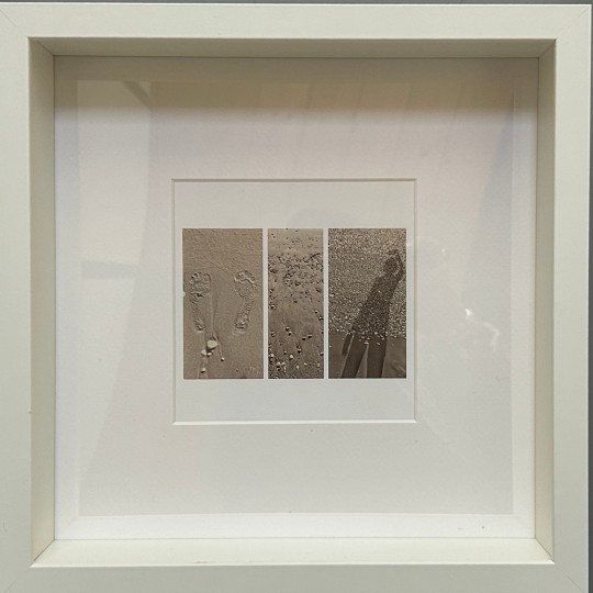 Mneme le Memorie di un Istante - 1/1