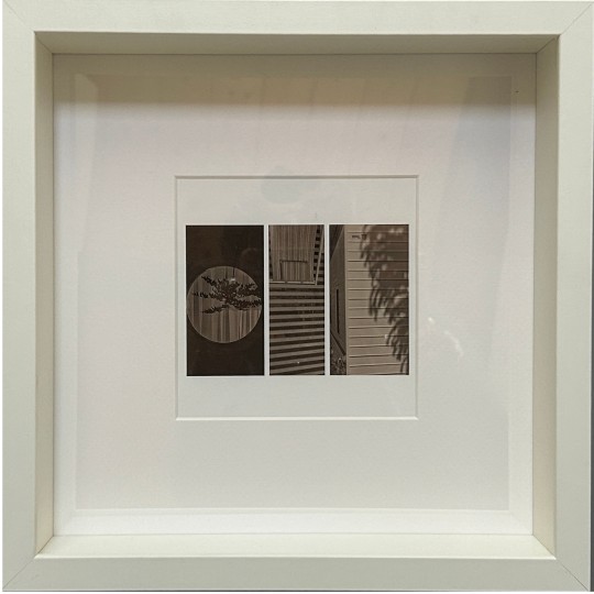 Mneme le Memorie di un Istante - 1/1