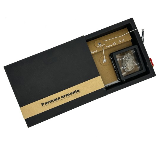 Parmea Armonia Box - 1/1