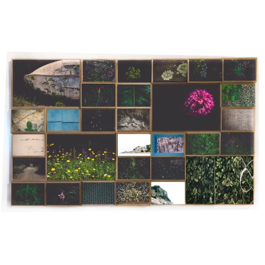 Parmea Armonia la Composizione - 1/1