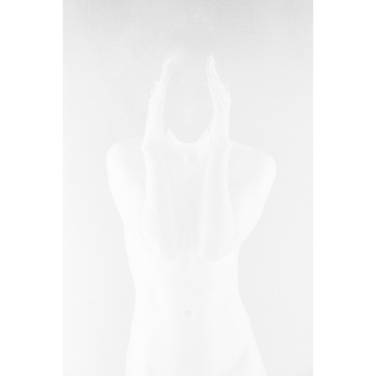 Il giardino segreto - 1/1