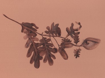 FALL (asleep) – l’addormentarsi