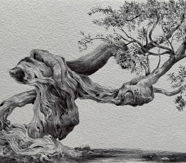 BE BIC® . Tutt'a un tratto la natura