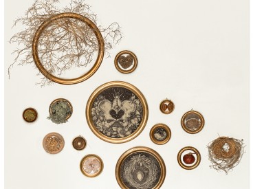 Il giardino dei semplici